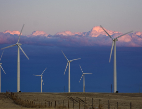 Optimization of the profitability of wind farms